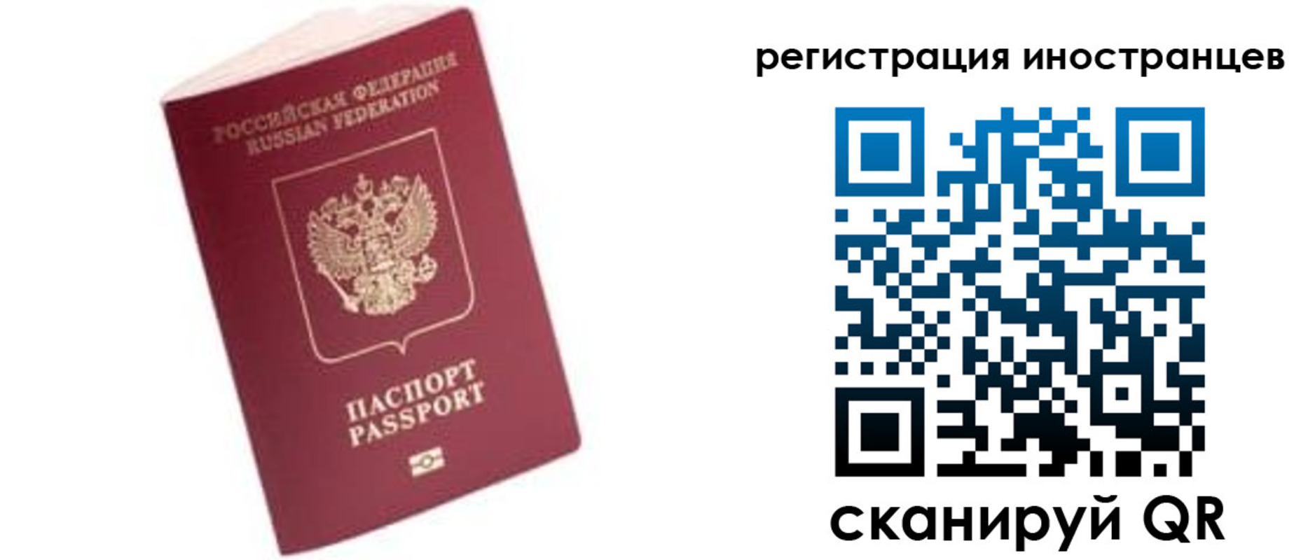 прописка гарантия в Камбарке